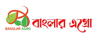 বাংলার এগ্রো